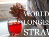 Worlds-Longest-Vertical-Straw-attachment
